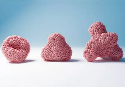 researchers cpu research brain cognitive computing with video